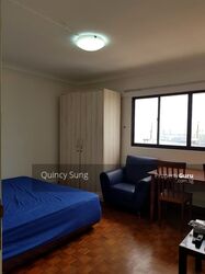 Blk 105 Spottiswoode Park (Bukit Merah), HDB 5 Rooms #326737411